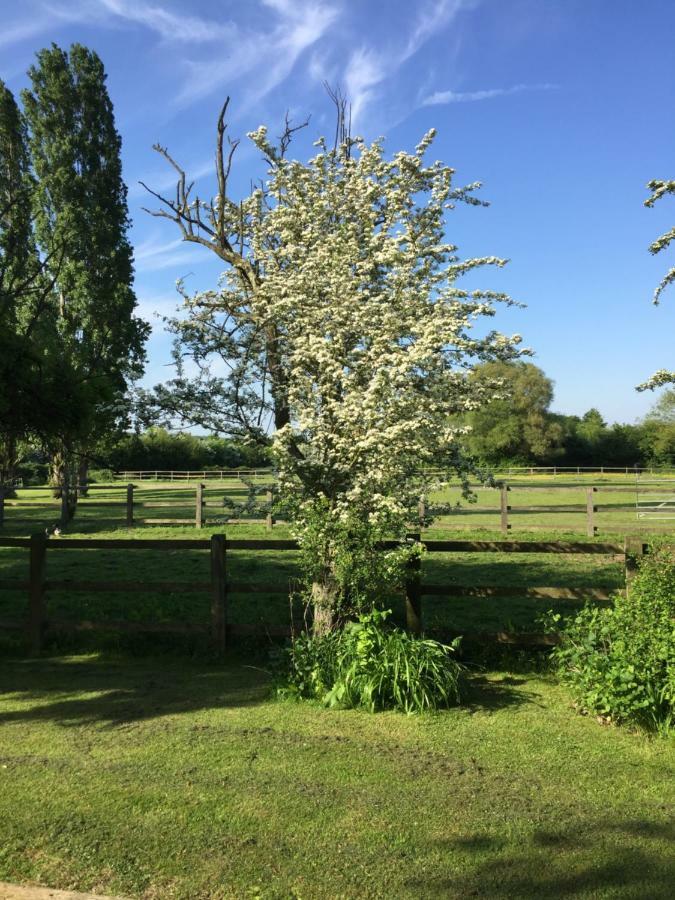 Upper Wood End Farm Bed & Breakfast Marston Moreteyne Exterior photo